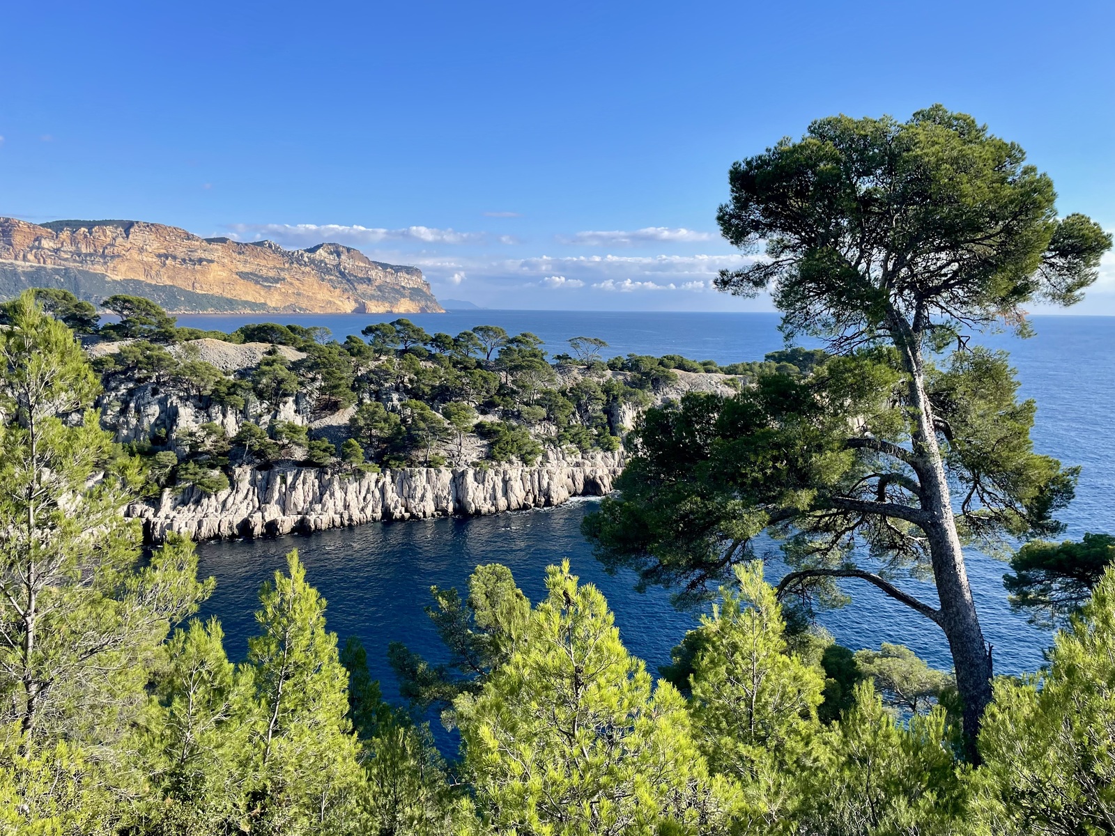 Rando - Port-Pin, Port-Miou et ravin de Gorgue Longue - sortie 1