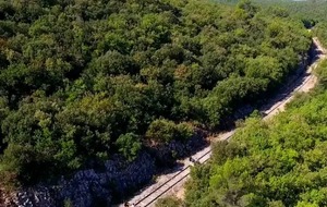 Sortie convivialité : vélorail à la Sainte-Baume