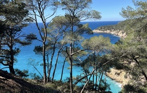 Randonnée - Le sentier du littoral de Bandol à Saint-Cyr - Sortie 2
